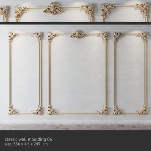 Classic Wall Moulding 06