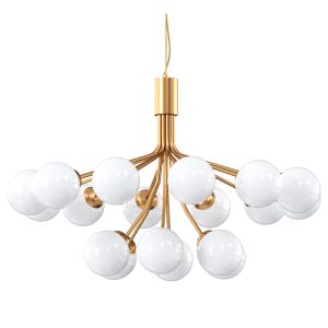 Apiales Chandelier