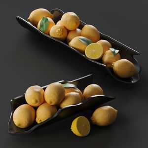 lemon set  CARYN TRAYS S2