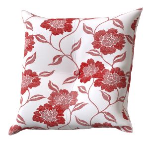 Decorative Pillows