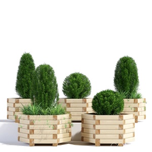 Wooden Hexagonal Planter