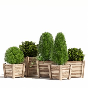 Tapered Cube Acacia Hardwood Planters