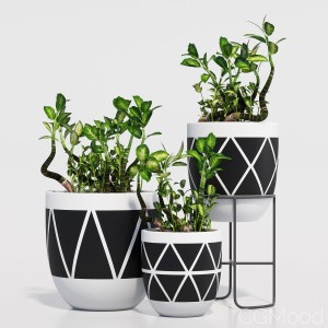 Designtwins pot