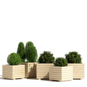 Wooden Pine Cube Planter