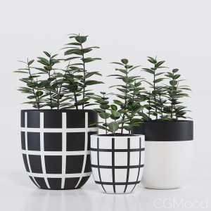 Grid pot