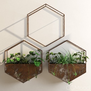 Hexagon shelves