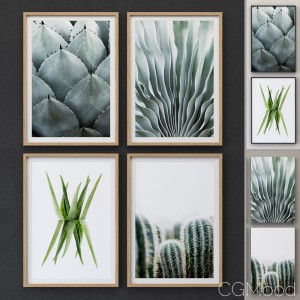 JUNIQE Cactus framed