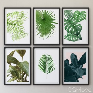 JUNIQE Tropical Set-02 Framed