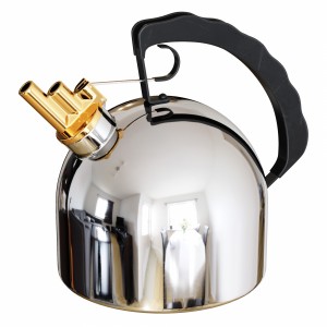 Alessi Kettle 9091 Designed By Richard Sapper