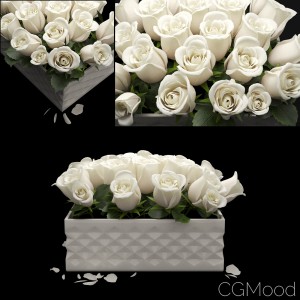 White Rose Flowerbox