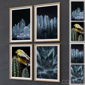 JUNIQE Cactus framed set-02