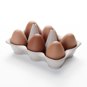 Egg Carton