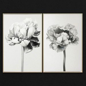 Black And White Peony