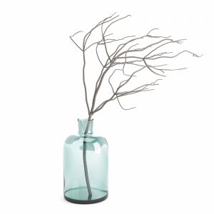 Glass Vase With Twigs