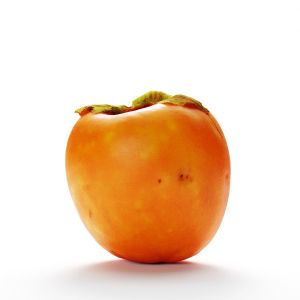 Persimmon