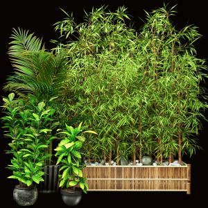 Outdoor Plant Set