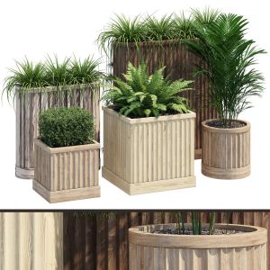 Bamboo Planter