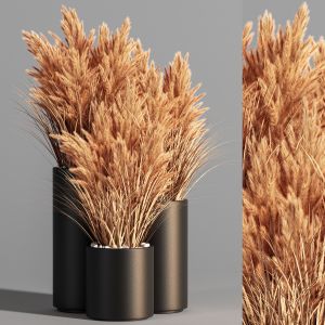 Indoor Plant Set 48(pampas)