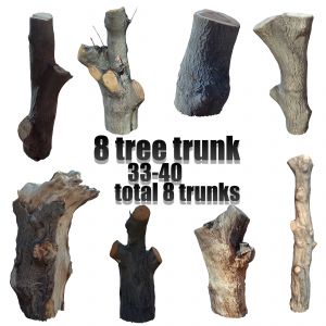 Trunk Pack Vol 3