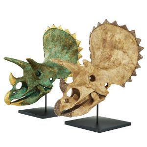 Triceratops Skul