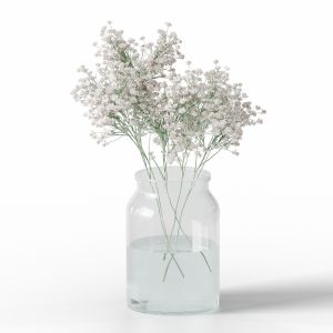 Gypsophila Bouquet