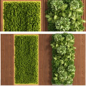 Wooden Planks Vertical Garden And Mosswalls