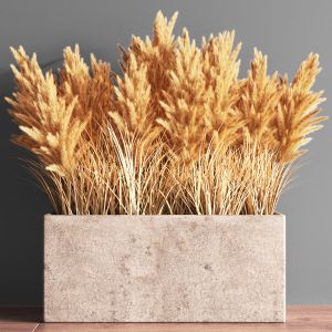 Indoor Plant Set 55(pampas