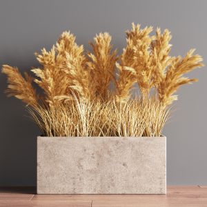 Indoor Plant Set 56(pampas)