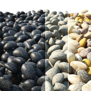 Pebble Stones