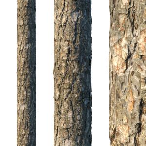 4k Pine Bark Material 02