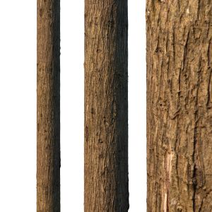 4k Cypress Bark Material 01