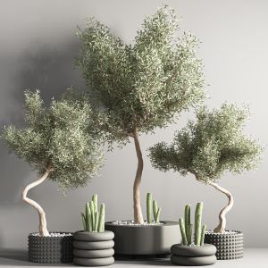 Indoor Plant Stand 33