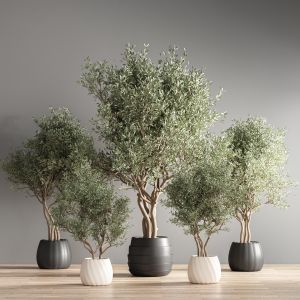 Indoor Plant Stand 34