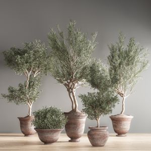 Indoor Plant Set 22