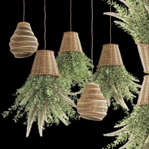 Indoor Plants In A Hanging Planter Set 02