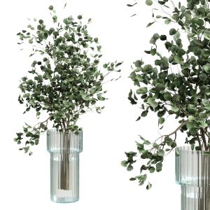 Eucalyptus Branch In A Green Glass Vase - Bouquet