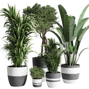 Collection Indoor Outdoor Plant 138 Dirty Concrete