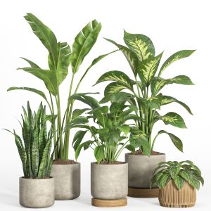 Indoor Plant Set 37-concrete And Wood Pot