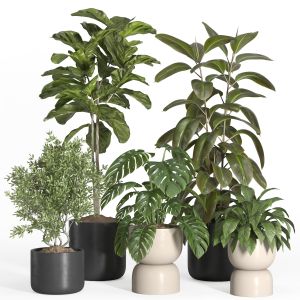 Indoor Plant Set 38-stone Pot