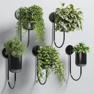 Set Indoor Plant 135 Vase Metal Stand Wall Plant