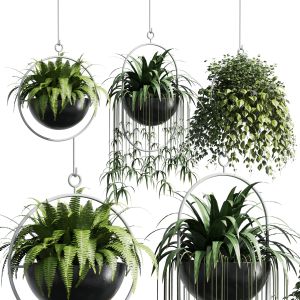 Collection Indoor Outdoor Plants 133 Hanging Pots