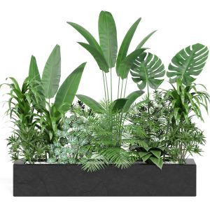 Indoor Outdoor Plant Set006 Collection