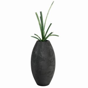 Attitude Exotic Vase