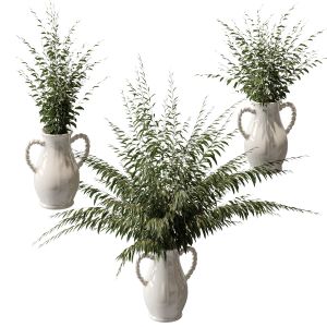 Plants In Vases