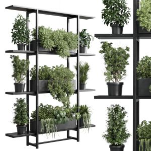 Vertical Wall Garden With Metal Frame Shelf With