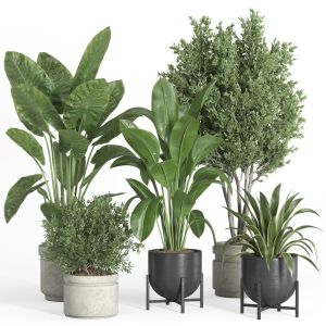 Indoor Plant Set 39-concrete And Metal Pot