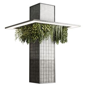 Column Plant Pillar Plant 05