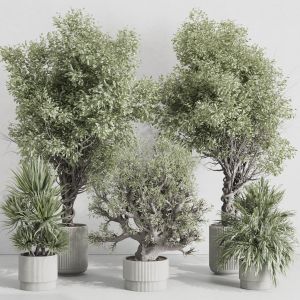 Outdoor Plant Set 176 Plant Tree Palm Bush Concret