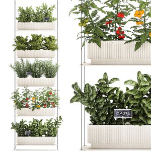 Vertical Gardening Kitchen Garden Vegetables Basil