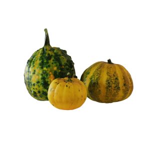 0029 Pumpkins Small 2c4grxqj